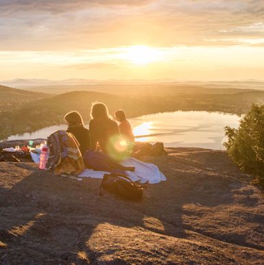 Utforska skogens hemligheter tillsammans med mig